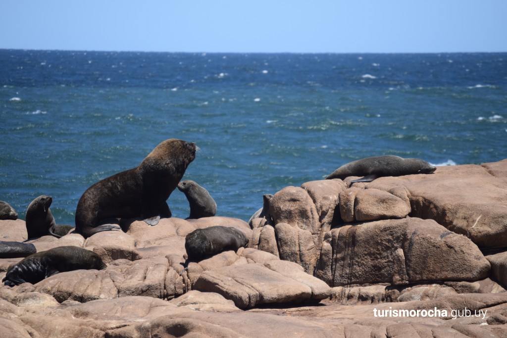 Cabo Polônio – Roteiro Internacional Inesquecível